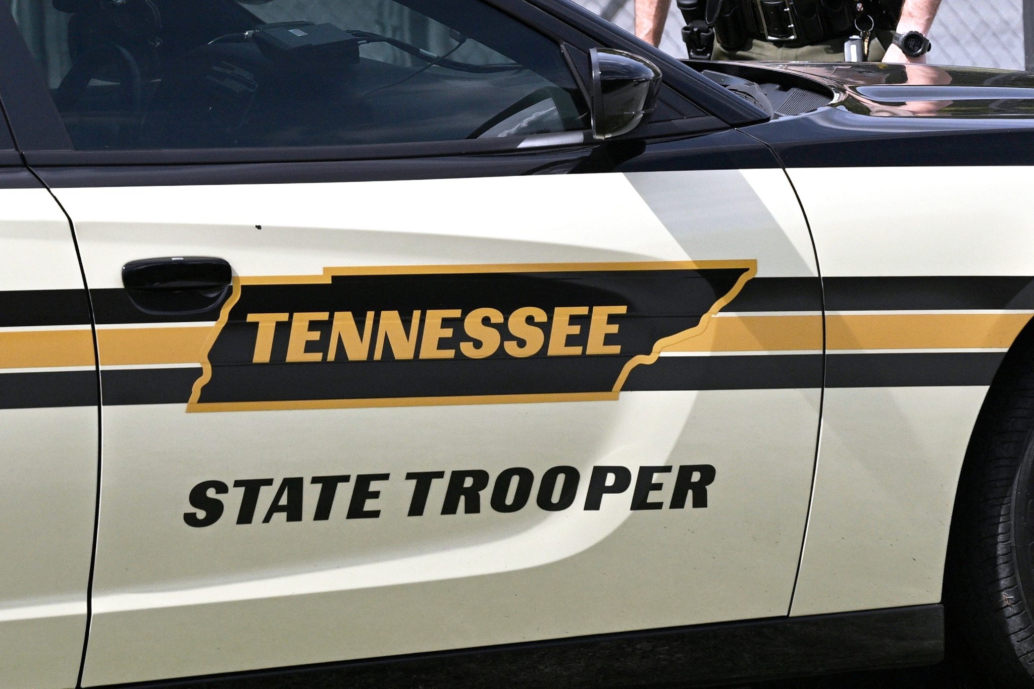 1a69-1ab30f7235ef0a105e77eae65580a559