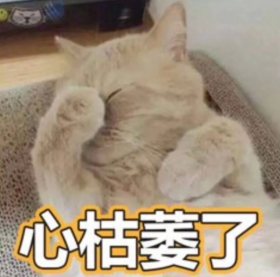 3ccb-652ce4e9cfe6323cdf3983b75249880c