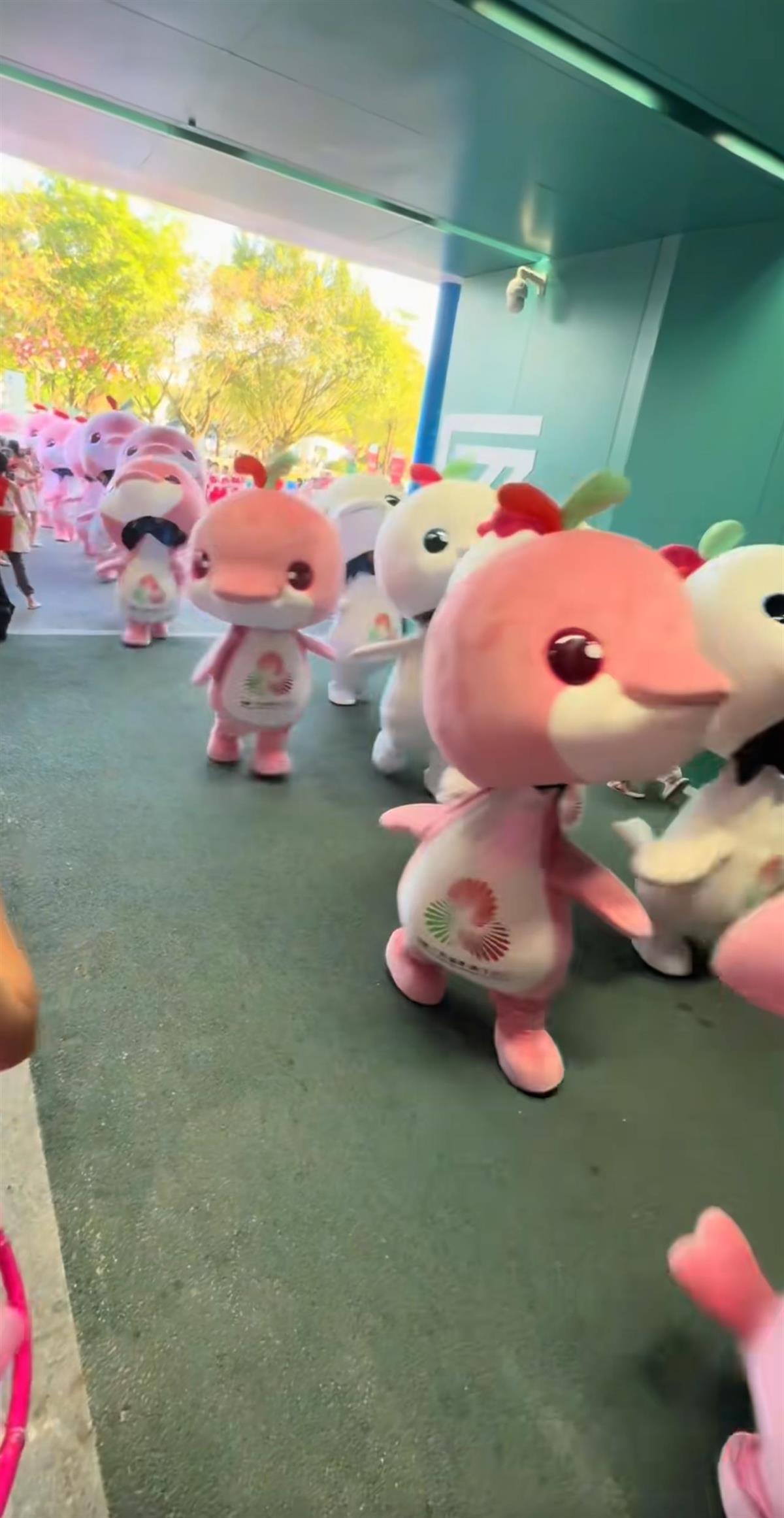 4d2b-6cd4353c5a62691e103b88df77cc2b49