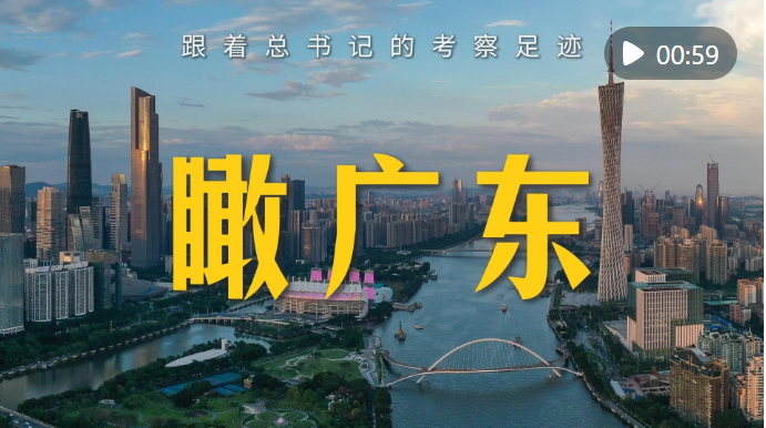 4f55-4ea5a14b9f2427d82dcd2548afd90541