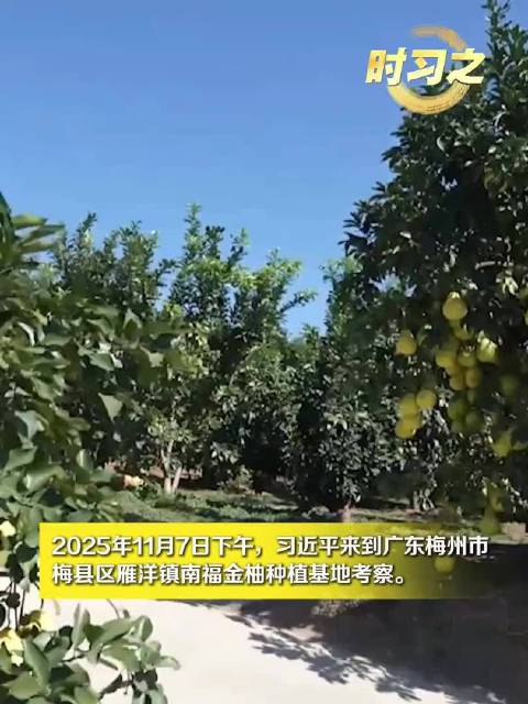 5faf-8ffb19470163f415d6a19d2e956ff2a1