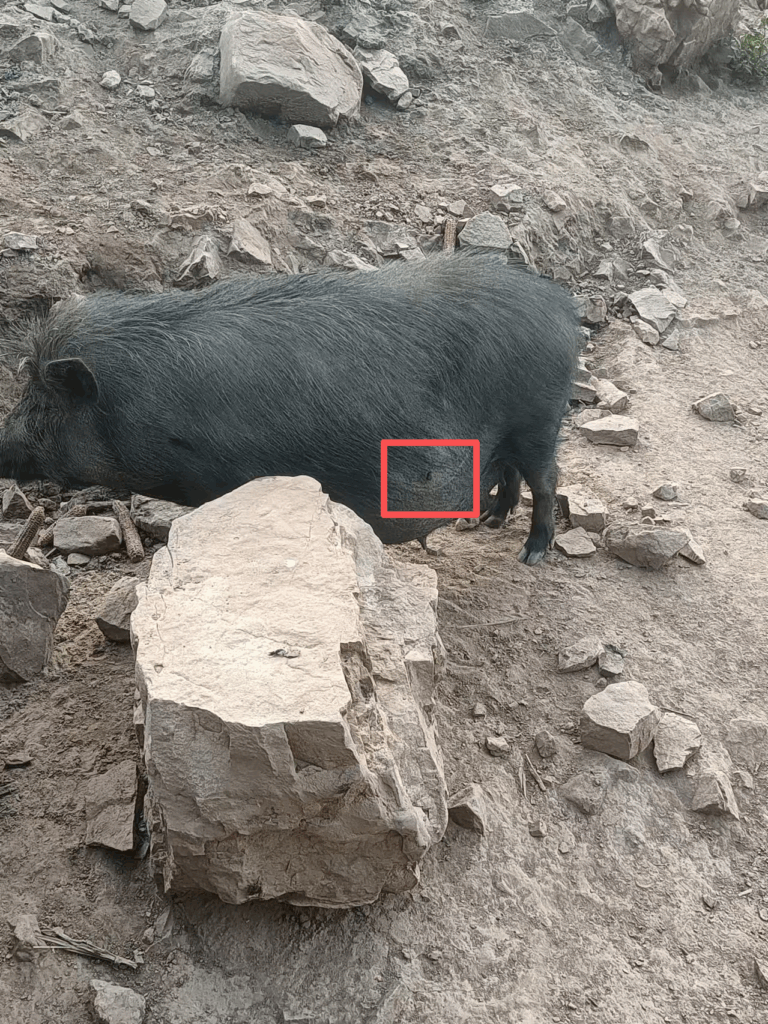 648a-8ae8e4a9f6faa0986b0c056c53085e04