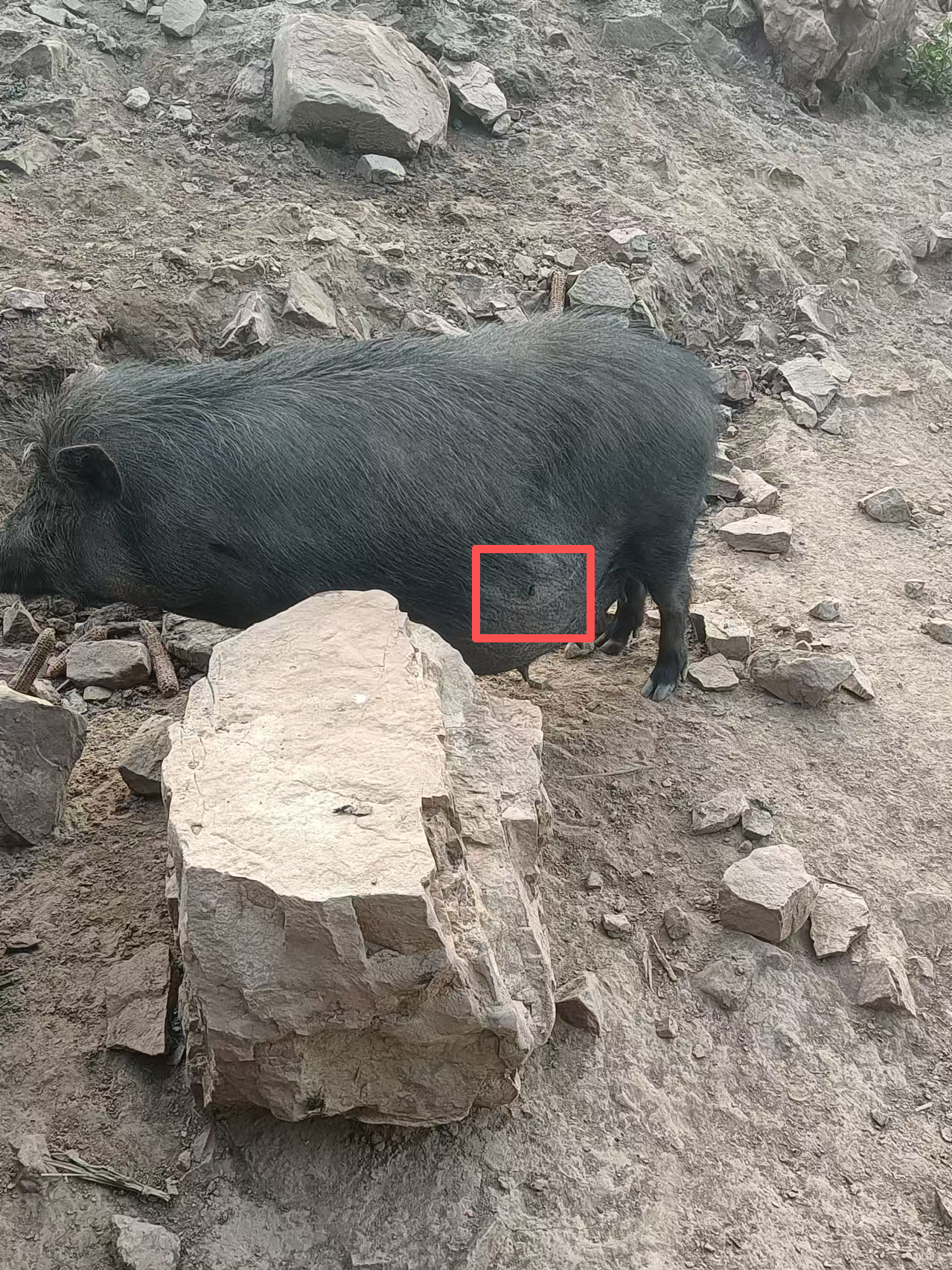 648a-8ae8e4a9f6faa0986b0c056c53085e04