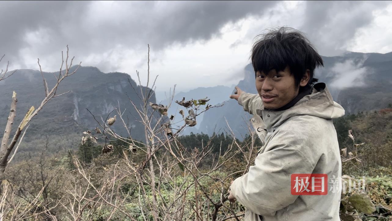 8135-7c382858831527a1c102eba46e4e81a5