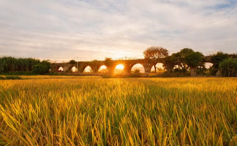 a444-5a3c98ea4d162974d2a94b434b3340b4