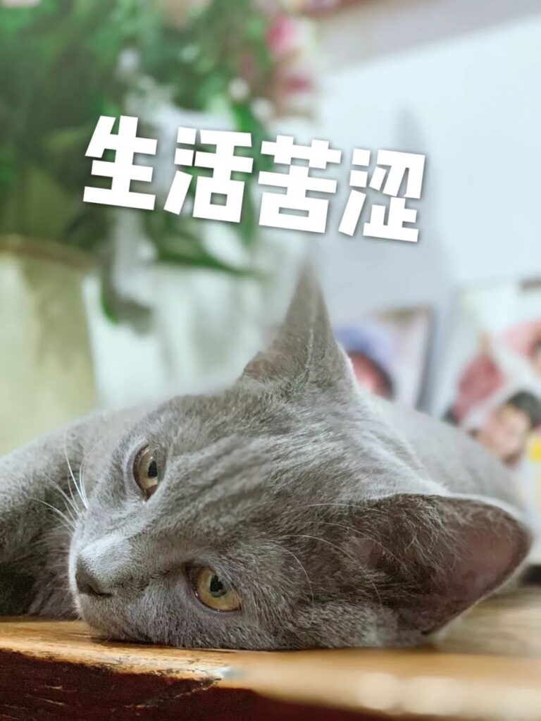 bbb4-12e4c5e35d83c431499b3fccbbc57f0e