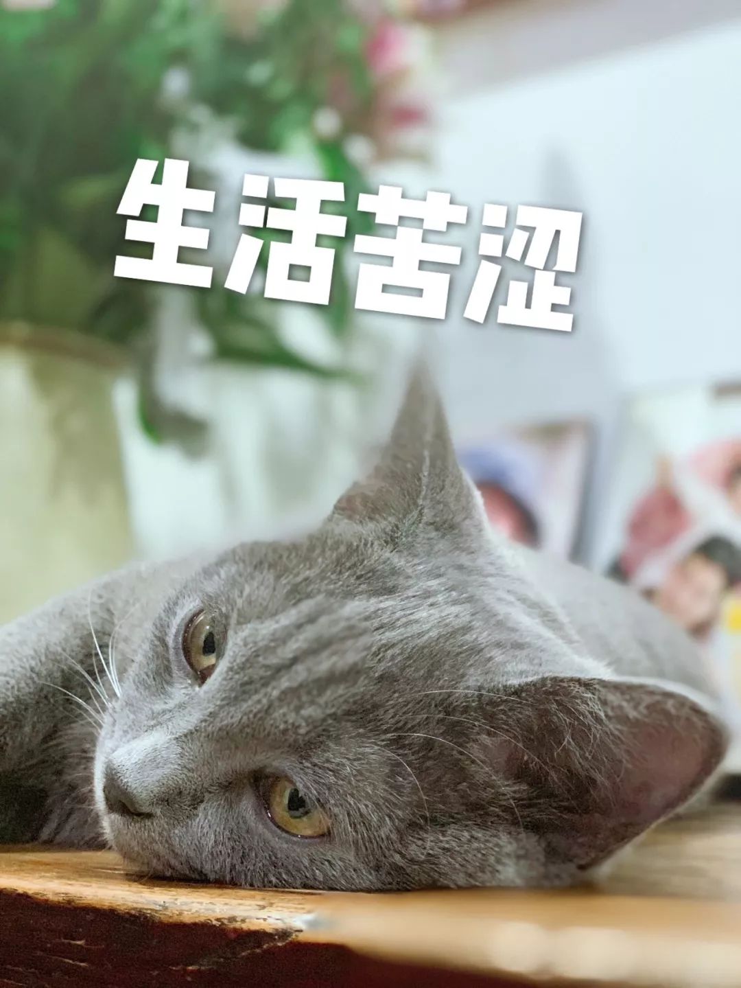 bbb4-12e4c5e35d83c431499b3fccbbc57f0e