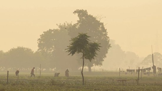 ede7-619d5fc3b6b809f09b17ec9f118fceee