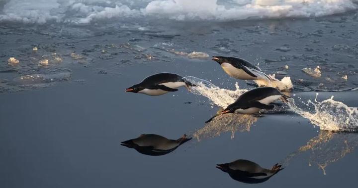 feea-d3f484719e841fbf9b23e8a77ab1ae6b