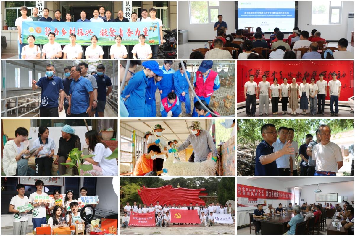 e78e-07f0ce830c30e5421eea580b53ee7913