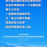 3382-04da26ca289afbf48b336f7c0b179018