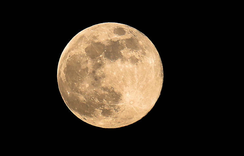 f7ce-f7ce9abb3348fe7ba3c61f9cb321b81b