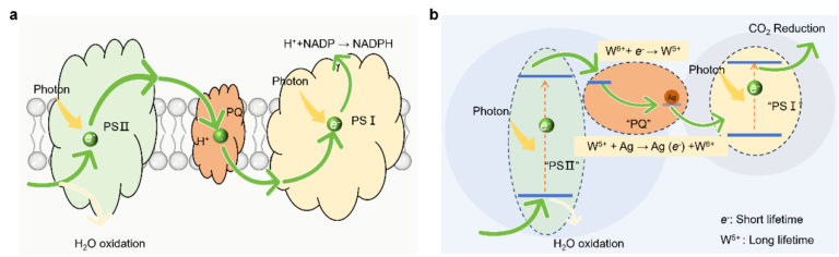 897e-921b92b547d2e0430b3e486fbc6c7ec0