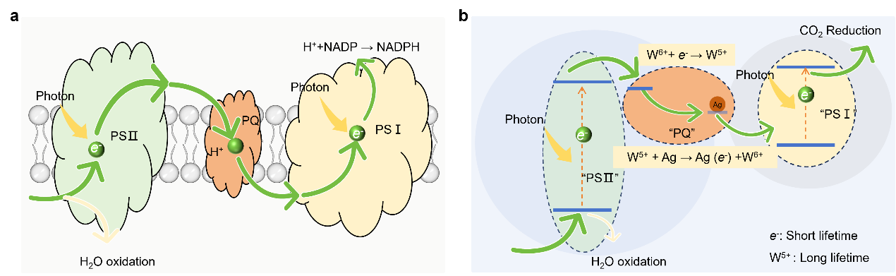 897e-921b92b547d2e0430b3e486fbc6c7ec0