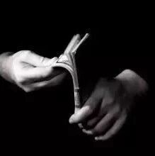 d4bb-2d75f6b2615644b4cba64fad23e9da72