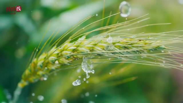 db8c-443aa07117cad3d19c2b2ca84868c72c