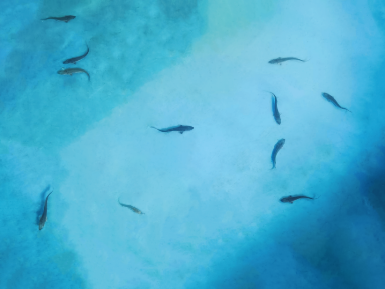 f1e9-97e3980b28af3b1f8110f19178f8d748