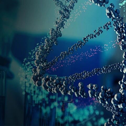 040a-e422c009c0ebbb220eaecfbdf305f5de