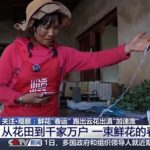 6baa-dcaec1ea96e441a98ebb02463b3a0022