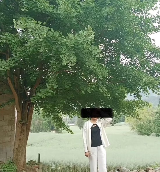 86ed-836e43eb507b4089068bae28e82dd45c