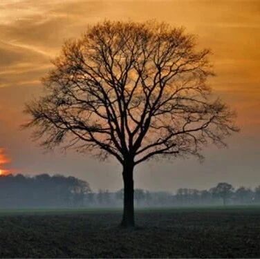 a37c-a1e1f8f71dda3bd3eaba948b95bca9ec