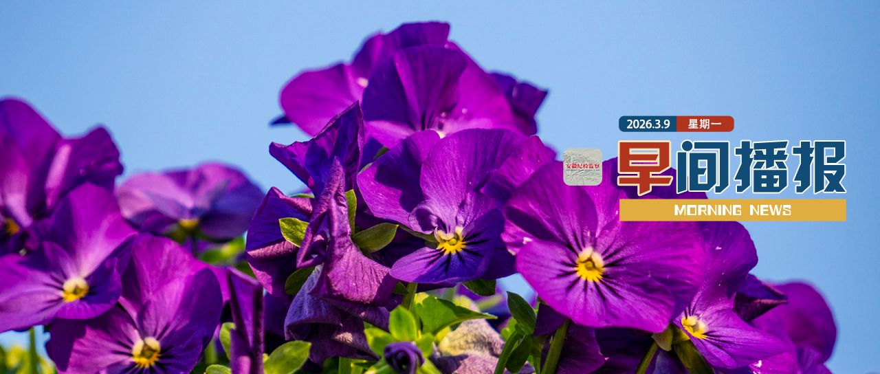 bf86-8b787a04eda7e9d3626e603af5e28d23