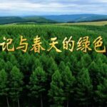 68dc-93b9bef672f2de6dd5a16c0be68a74b1