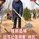 e43a-bf1e706492d14f4533f4df8888ae4f52